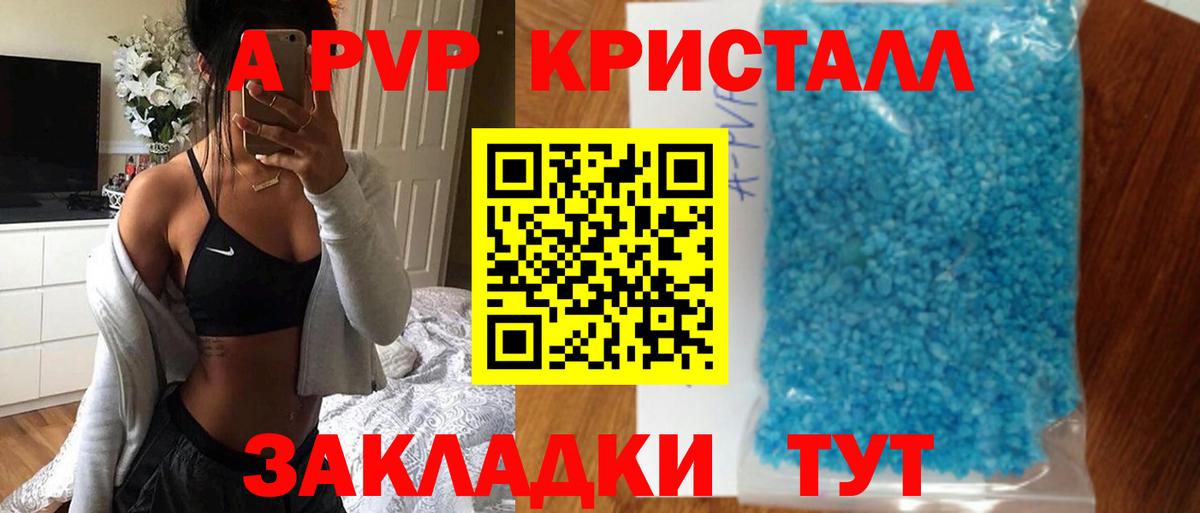 Alfa_PVP СК КРИС Губкин