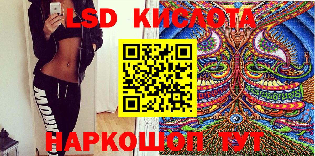 Губкин  Марки NBOMe 1,5мг  Марки NBOMe 1,5мг  Вход с VPN 