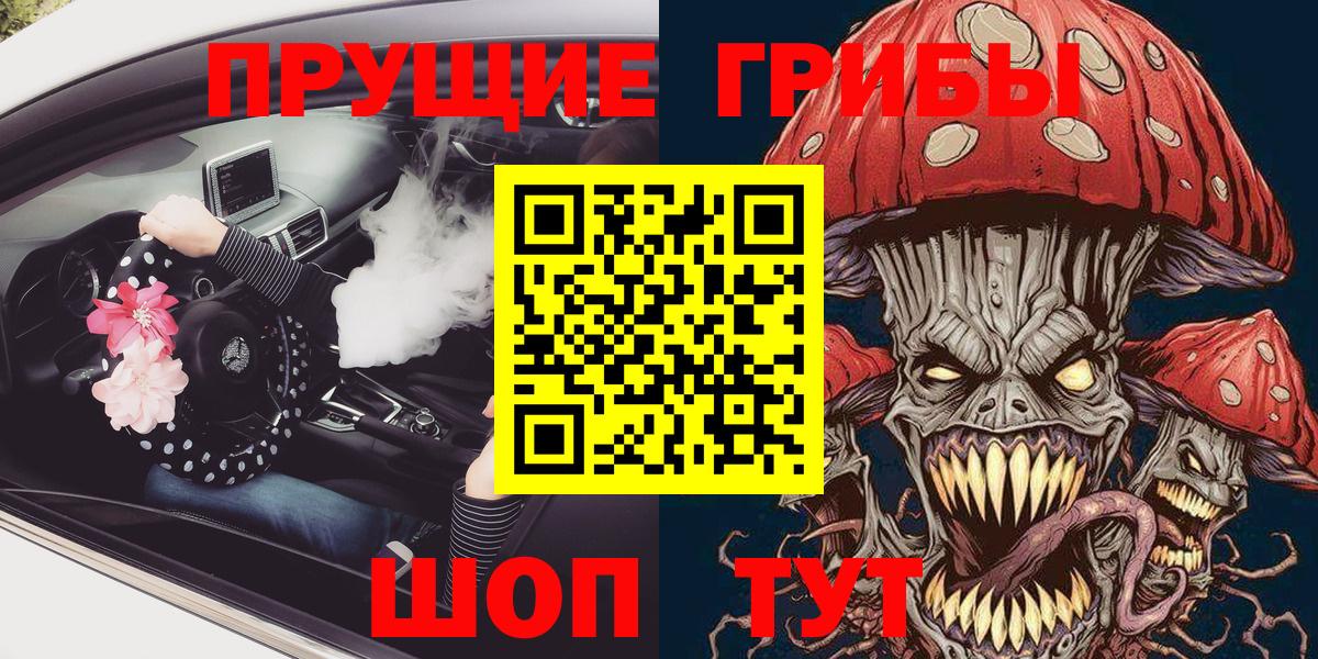 Галлюциногенные грибы Psilocybine cubensis Губкин