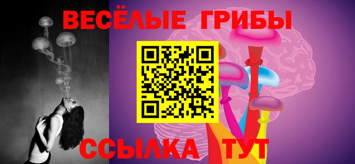 Галлюциногенные грибы мицелий  Вход с VPN  Галлюциногенные грибы Cubensis  Губкин 
